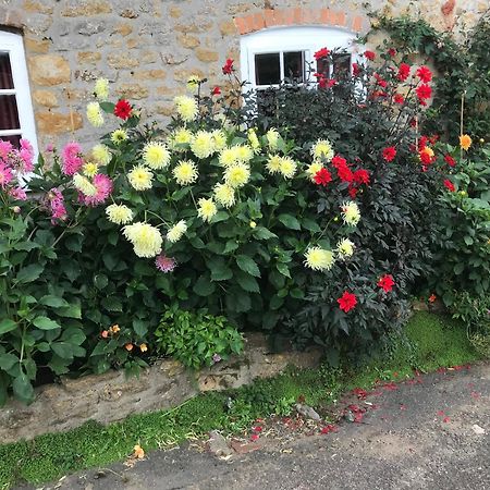The Cottage Abbotsbury Bagian luar foto