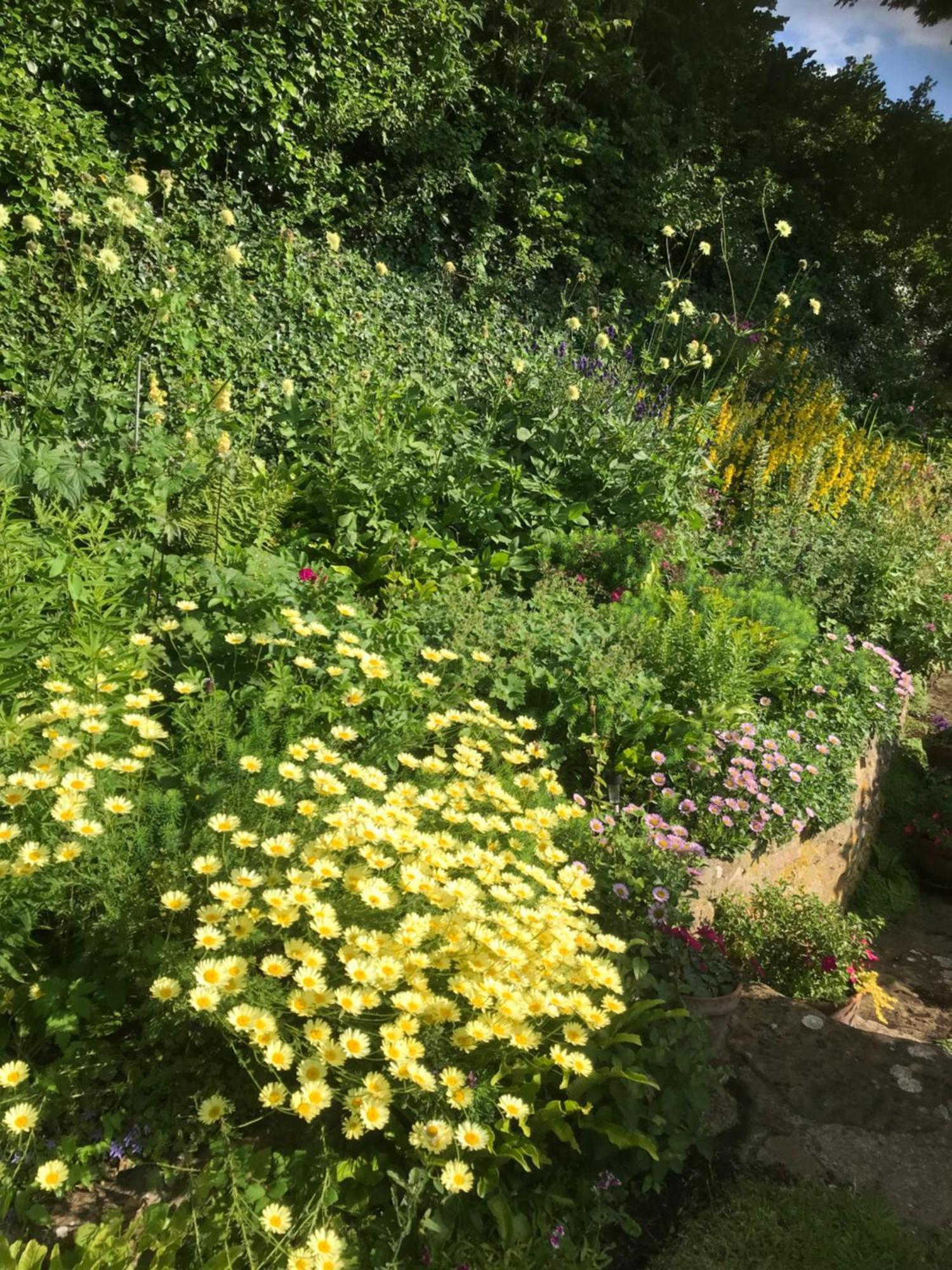 The Cottage Abbotsbury Bagian luar foto