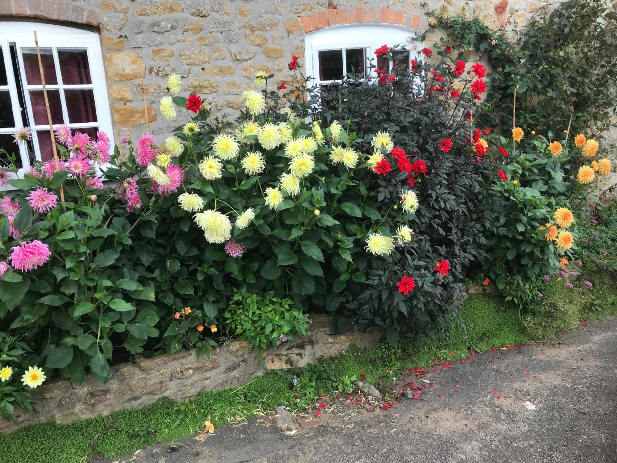 The Cottage Abbotsbury Bagian luar foto