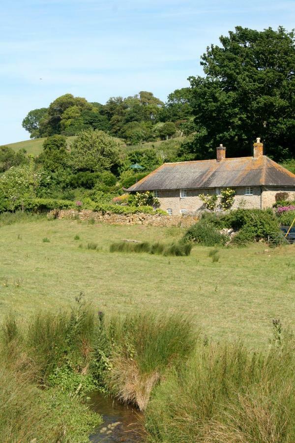 The Cottage Abbotsbury Bagian luar foto