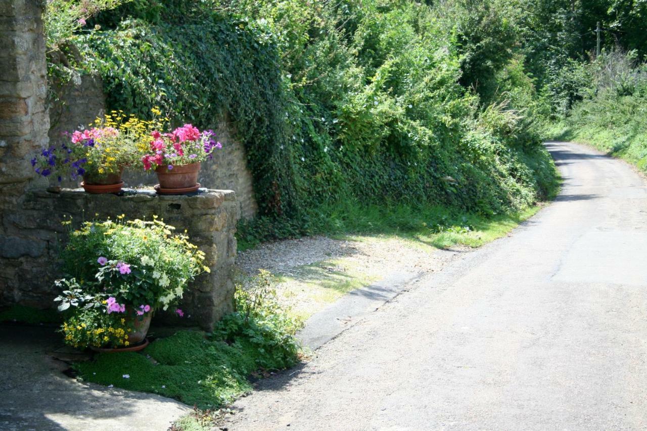 The Cottage Abbotsbury Bagian luar foto