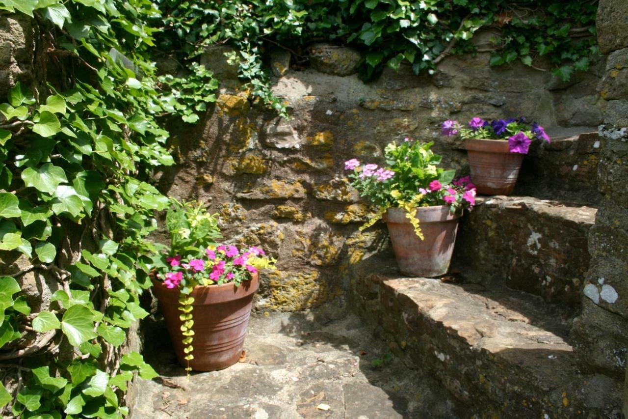The Cottage Abbotsbury Bagian luar foto