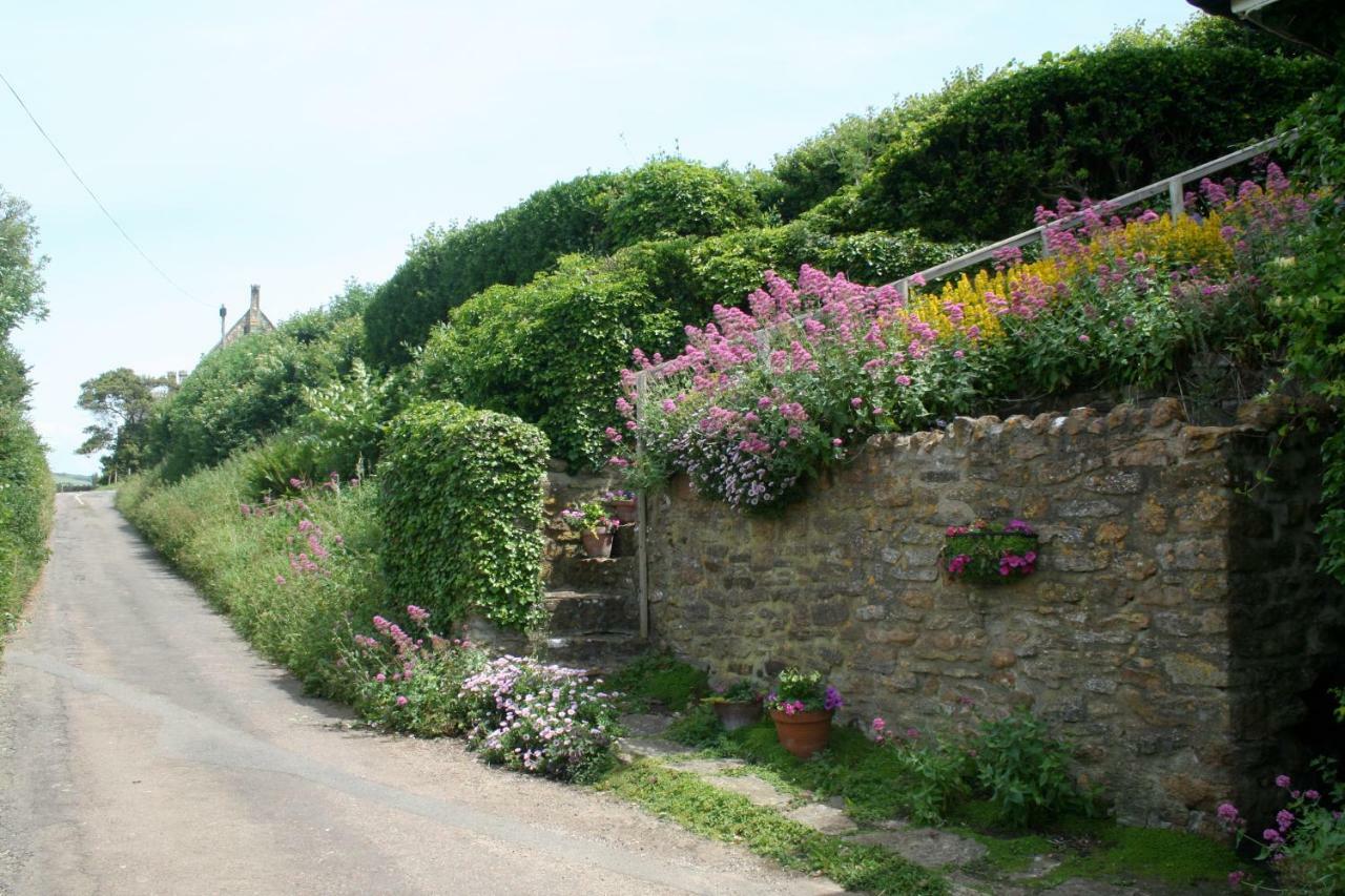 The Cottage Abbotsbury Bagian luar foto